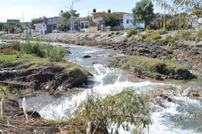 Beneficio. El incremento de agua se debe a la limpieza del río que realiza hasta el momento una empresa. (EL SIGLO DE TORREÓN)