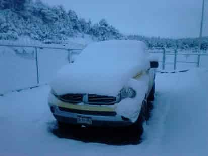 El gobierno del estado informó que durante la noche de ayer y madrugada de hoy, se registraron intensas nevadas en la zona occidente y suroccidente del estado, lo que originó además, el cierre de algunos tramos carreteros. (NOTIMEX)