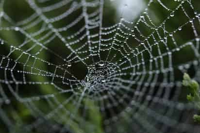 Los investigadores dicen que podrían producir el material en cantidades industriales. (INTERNET)