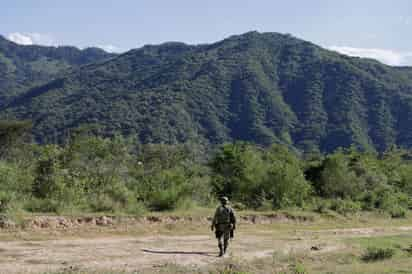 Personal de la Policía Federal observó lo que se apreciaba como un campamento para ocultar armas y vehículos entre las hierbas; dos de las camionetas tenían reporte de robo. (ARCHIVO)