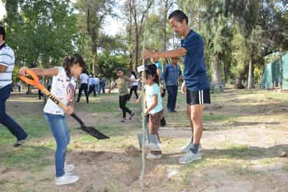 La campaña incluye la donación de otros mil árboles pequeños y medianos de diferentes especies para los ciudadanos que acudan a canjear artículos reciclables. (FERNANDO COMPEÁN)
