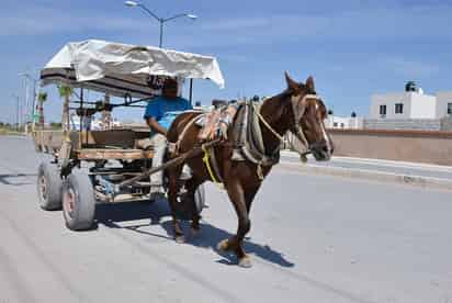 Asociación. ARRE  pretende trabajar por el bienestar de los equinos en condición de maltrato. 