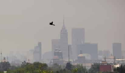 Peligroso. El medio ambiente es factor en el incremento de enfermedades y fallecimientos en el país.(ARCHIVO)  