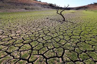 Más del 80 por ciento del país enfrenta condiciones de sequía “severa” y “extrema”. (EFE)