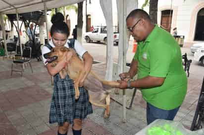 Acuden. Realizan diversas acciones de protección y cuidado de los animales en Lerdo. (EL SIGLO DE TORREÓN)