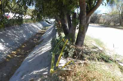 Tragedia. El cuerpo de la joven fue encontrado colgado de un árbol, a un lado del canal de riego.