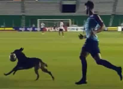 El perro interrumpió el partido del Torneo de Apertura en Bolivia. (YOUTUBE)