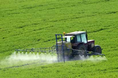 Ciencia. Investigadores de la UNAM buscan convertir la producción agrícola más limpia, productiva y sustentable a nivel nacional. (ARCHIVO)