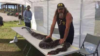 La pitón, que pesa casi 60 kilogramos, fue capturada por cazadores el viernes por la noche en la reserva Big Cypress National Preserve. (ARCHIVO)