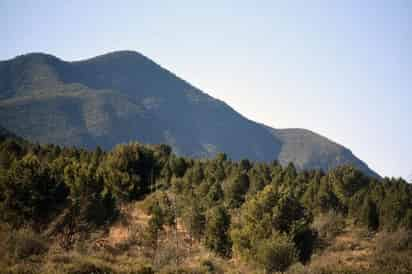 Será la sierra de Zapalinamé de Saltillo, la que presente estas condiciones. (ARCHIVO)