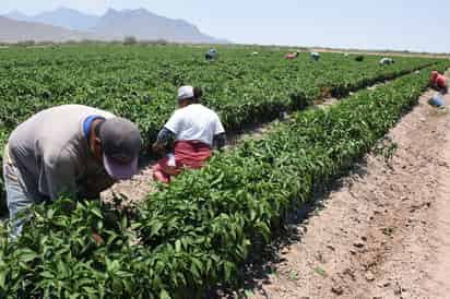 Desarrollo. Buscan generar acciones para mejorar las condiciones de vida en el campo. (EL SIGLO DE TORREÓN)