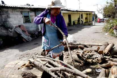  Con el fin de reducir el uso de leña y la tala de árboles en zonas rurales de alta marginación, investigadores de la Universidad Autónoma de Chapingo han instalado, en comunidades de 10 estados, biodigestores que producen gas con los residuos que generan diversos animales de corral. (ARCHIVO)