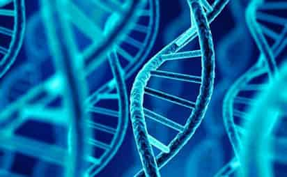 El descubrimiento no era una mera descripción de la molécula, sino que permitía comenzar a explicar el mecanismo con el que el ADN se separa en dos hebras -de ahí la doble hélice- para reproducirse en dos moléculas idénticas, la base de la herencia genética. (ESPECIAL)