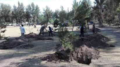 Reforestación. En los terrenos aledaños al parque Guadiana se hicieron plantaciones. (EL SIGLO DE TORREÓN)