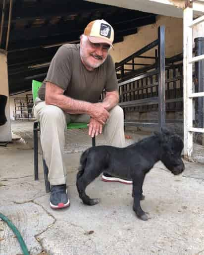 'Chente' compartió hace unos días una fotografía en la que mostró un caballo modificado genéticamente, algo que no fue bien visto por algunos usuarios de la red social. (INSTAGRAM) 

