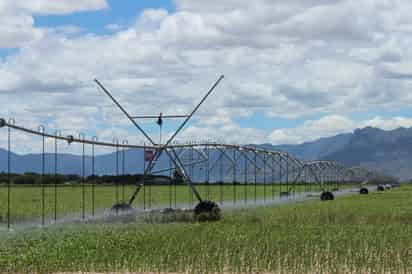 Sin escasez. Ambientalistas señalan que en la región Lagunera no falta agua, se destina el mayor volumen a la agricultura. (EL SIGLO DE TORREÓN)