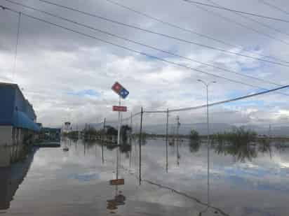 Son cinco locales los que ocupa el INE en Plaza Jumbo. (GUADALUPE MIRANDA)