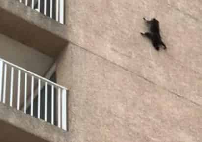 El caso se hizo viral a través de Instagram. (INTERNET)