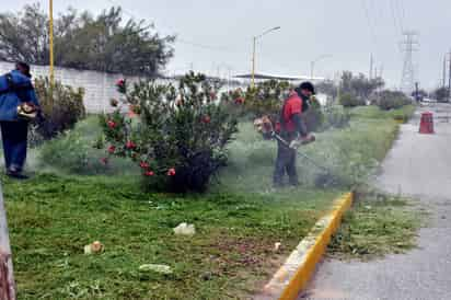 Campaña. Cuadrillas de Servicios Públicos Municipales llevan a cabo una labor para mejorar calles después de las lluvias. (EL SIGLO DE TORREÓN)