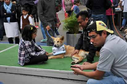 Está comprobado científicamente que un perro ayuda a las personas a convertirse en una persona más activa, responsable y organizada, ya que es un ser vivo que depende 100 por ciento del dueño. (ARCHIVO)