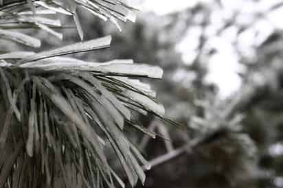 La Conagua alertó que será el lunes cuando este panorama de temperaturas bajas y presencia de aguanieve se generalice para las regiones montañosas de Nuevo León y Coahuila. (ARCHIVO)