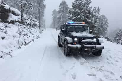 Afectados. También el Valle de Toluca cayó nieve y neblina. (EL UNIVERSAL)