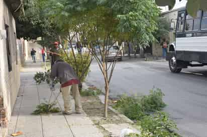 Aseguran. Estas acciones se realizan con la intención de conservar en óptimas condiciones la flora del municipio de Lerdo. (EL SIGLO DE TORREÓN)