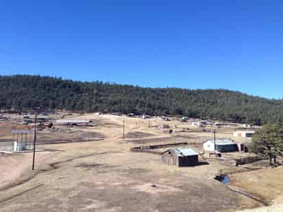 En un reporte señaló que temperaturas bajas también se presentaron en la zona de los Valles, -3 a 3 grados; zona norte, -4 a -2 grados; Región Lagunera, 2 a 3 grados; Observatorio Meteorológico Durango, 0.3 grados; Ciudad Lerdo 2 grados. (ARCHIVO)