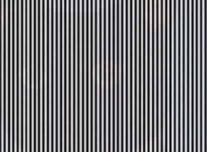 Una imagen viral cuya resolución es una con la que no todos están de acuerdo. (INTERNET)