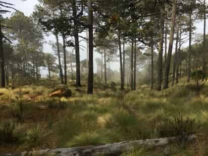 Los bosques cumplen un papel esencial en el combate contra el cambio climático al eliminar 30 % de las emisiones de dióxido de carbono (CO2) que produce el ser humano a nivel mundial, informó este lunes el Consejo Civil Mexicano para la Silvicultura Sostenible (CCMSS). (EFE)