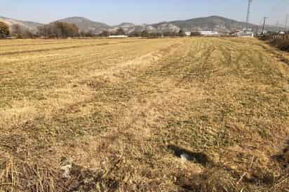 Espera la Subsecretaría de Desarrollo Rural en la región Lagunera, la liberación del recurso del Seguro Catastrófico. (EL SIGLO DE TORREÓN)