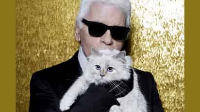 Choupette, es la gata heredera de la fortuna de Karl Lagerfeld, el diseñador alemán que falleció este día a los 85 años de edad. (ESPECIAL)
