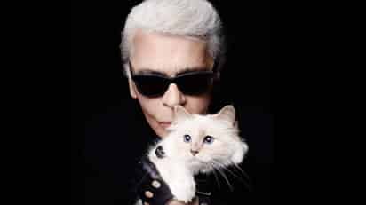Hereda. Gatita influencer y millonaria de Karl Lagerfeld. (ESPECIAL)