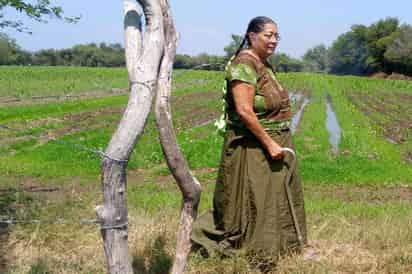 Lorenza Molina de la Cruz quedó a cargo de un rancho de 14 hectáreas desde que su esposo falleció; ahí cultiva sorgo y maíz. (EL UNIVERSAL)