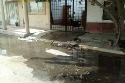 Además de la gran cantidad de agua potable que se desperdicia por la fuga, el líquido no termina de ser evaporado, por lo tanto se queda estancado y genera mal olor. (EL SIGLO DE TORREÓN)