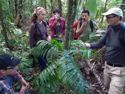 Fue descubierta por investigadores del Centro de Investigaciones Tropicales (Citro), de la Universidad Veracruzana. (ESPECIAL)