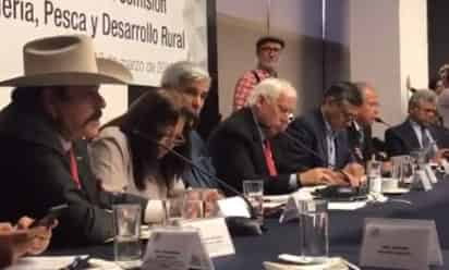 Consideró que uno de los problemas por los que no se soluciona la situación es la aplicación de los recursos, “que no rinden los frutos que deben rendir porque los dilapidan o los roban” externó. (ESPECIAL)