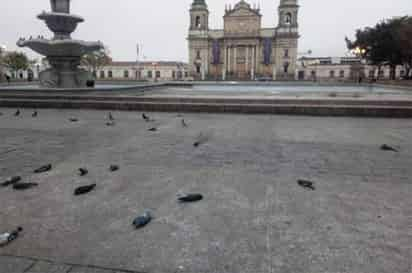 Las aves, tiradas sobre las lozas de la Plaza de la Constitución, donde suelen comer el alimento que proveen vendedores en los alrededores, llamaron la atención de personal de la sección de limpieza de la alcaldía, quienes alertaron a la Policía Municipal. (ESPECIAL)