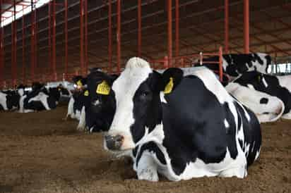 Conrado Antúnez, Secretario del Frente Nacional de Productores y Consumidores de Leche, dijo que es necesario esperar una propuesta por parte del Gobierno Federal para la zona de la Comarca Lagunera. (EL SIGLO DE TORREÓN) 