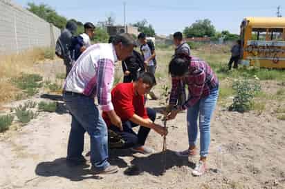 Inician las acciones de reforestación en escuelas de Madero al recibir más de mil 200 árboles. (CLAUDIA LANDEROS)