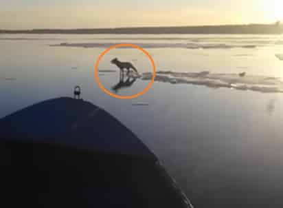 El clip se hace viral en redes. (YOUTUBE)