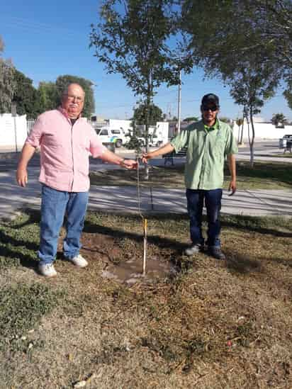 El Departamento de Fomento Ecológico del municipio de Lerdo realiza acciones de reforestación y cuidado de las especies. (EL SIGLO DE TORREÓN)