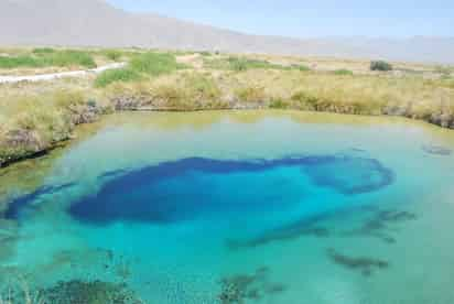 Poza azul, uno de los cuerpos de agua que se encuentran en el valle de Cuatro Ciénegas, en el desierto de Coahuila. 