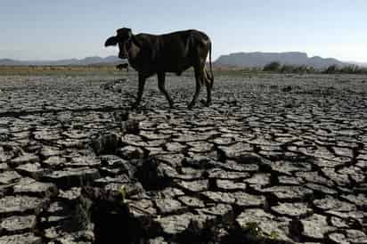 Se ha retomado la interdependencia que existe entre los seres humanos, así como entre estos, otras especies vivientes y el planeta. (EFE)