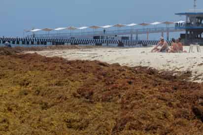 Las condiciones climatológicas en la zona provocarán que sigan hoy los recales de sargazo y al menos por 48 horas más, informó la Red de Monitoreo de Sargazo. (ARCHIVO)