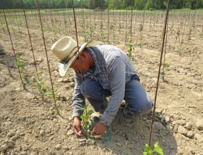 La producción industrial del país acumula dos trimestres consecutivos de contracción económica. (ARCHIVO)