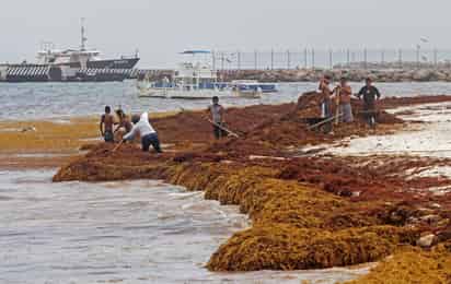 Será la Secretaría de Marina la que encabece la estrategia para atacar este problema. (EFE)