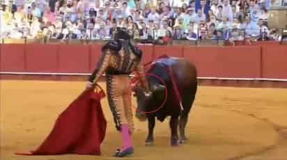 Usuarios califican al hombre como 'sádico' y 'cruel' (INTERNET)