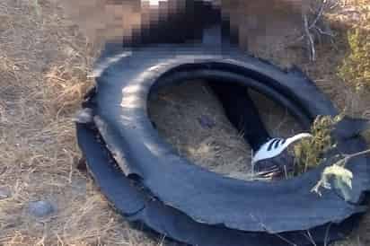 Cuerpo de mujer fue localizado entre los matorrales, agencia de Feminicidios investiga el caso. (EL SIGLO DE TORREÓN)