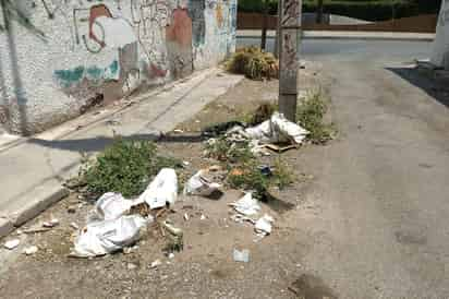 Siempre hay mucha basura en el lugar y en un recorrido se pudieron apreciar bolsas y costales de basura. (EL SIGLO DE TORREÓN)